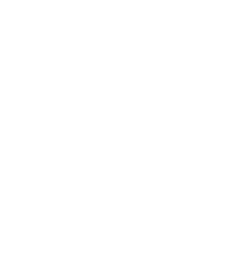 Cocktail avec bouteille Martini

